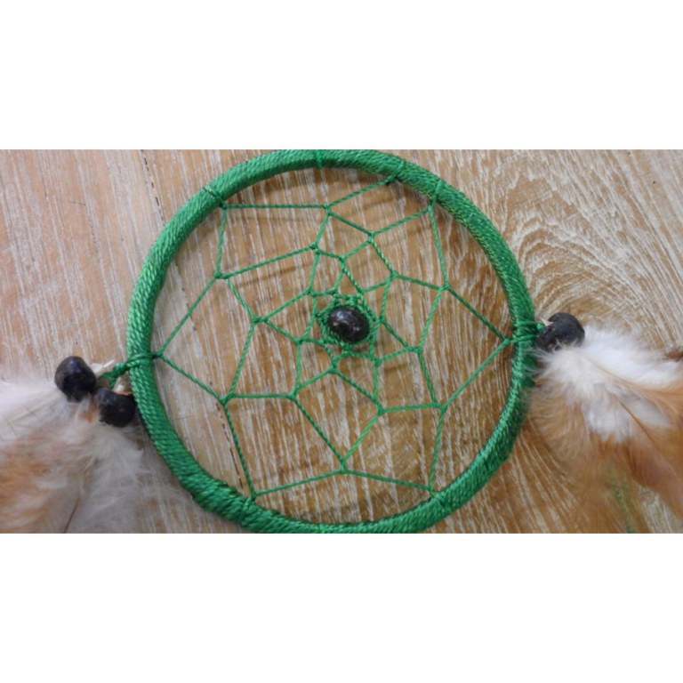 Dreamcatcher vert hawi