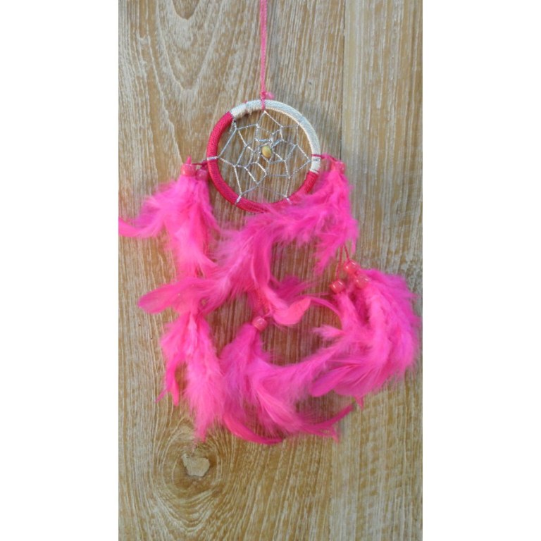 Dreamcatcher flashy rose