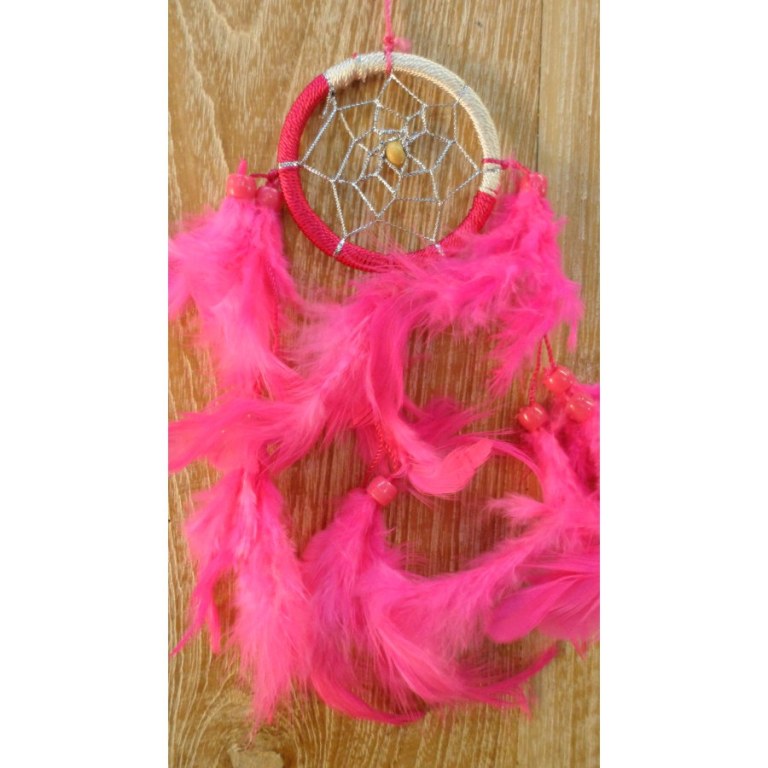 Dreamcatcher flashy rose