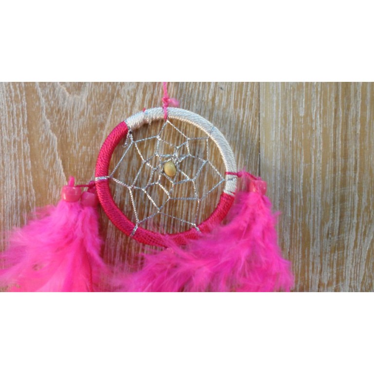 Dreamcatcher flashy rose