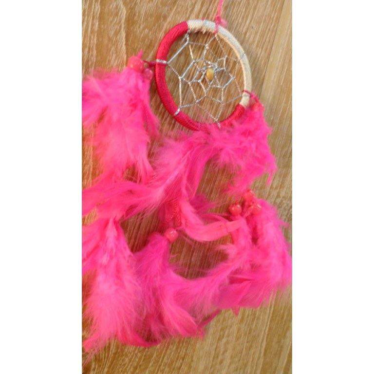 Dreamcatcher flashy rose