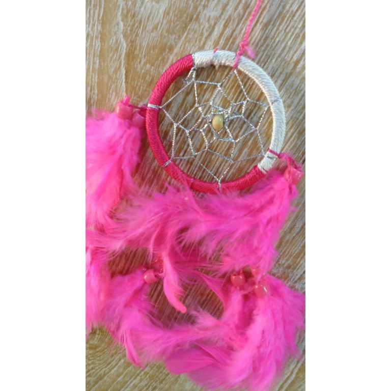 Dreamcatcher flashy rose