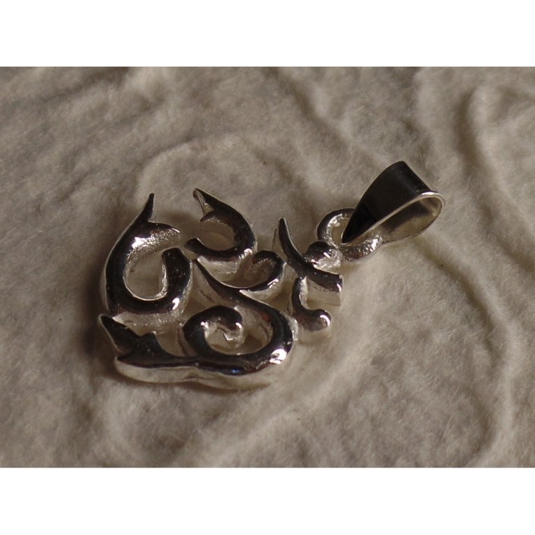 Pendentif argent pranava