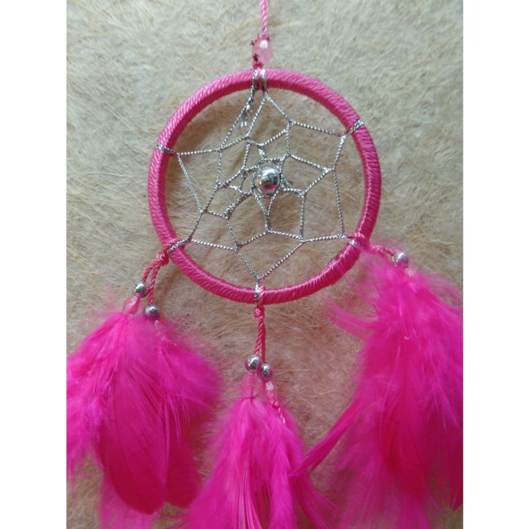 Dreamcatcher Yine rose