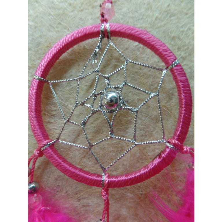 Dreamcatcher Yine rose