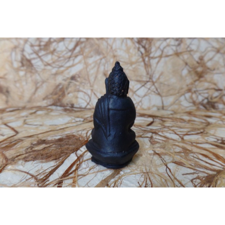 Petit porte encens Bouddha bhumisparsha