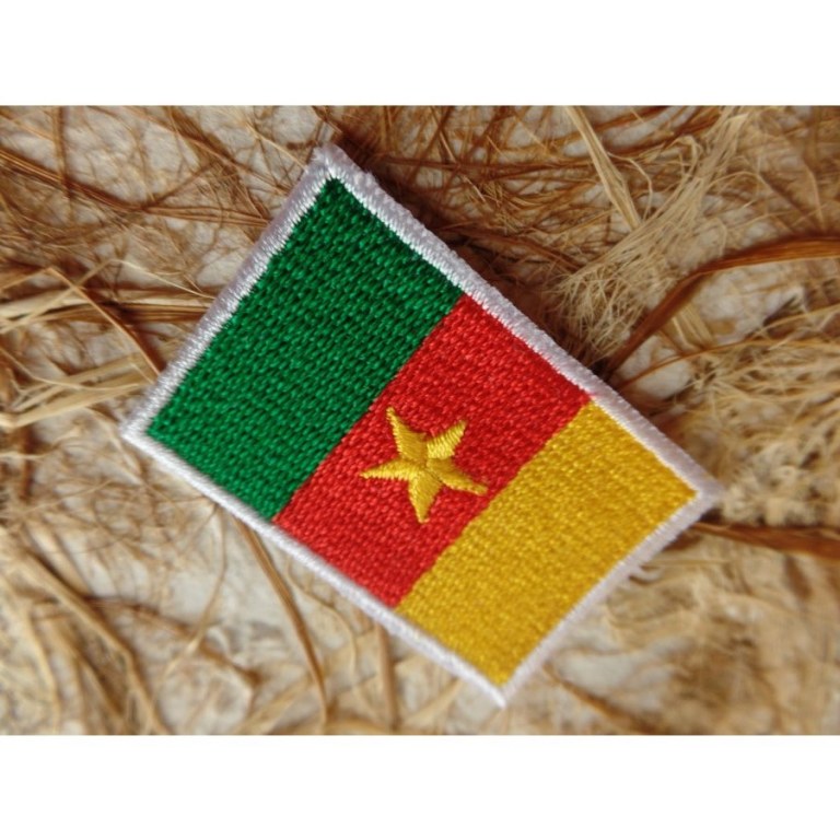 Ecusson drapeau Cameroun