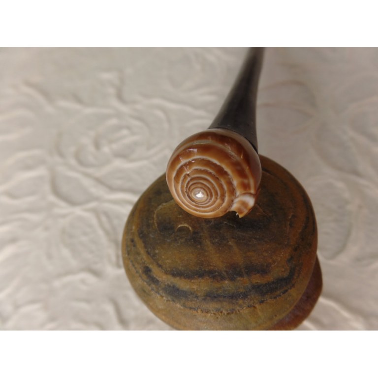 Baguette pic cheveux coquillage escargot