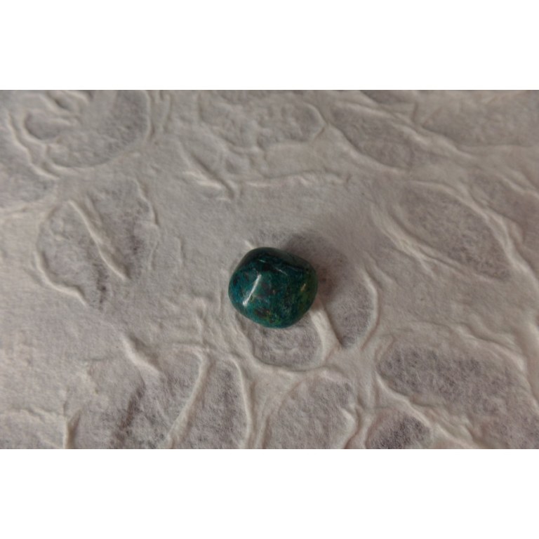 Chrysocolle