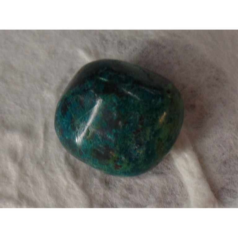 Chrysocolle