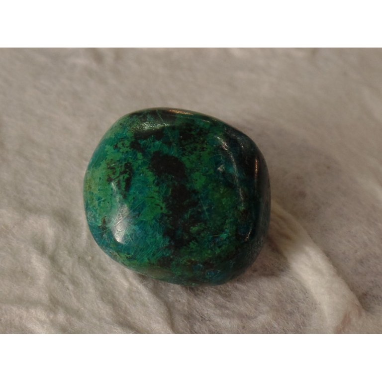 Chrysocolle