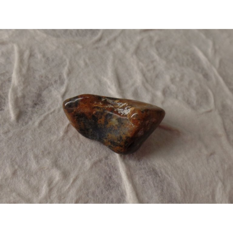 Agate dendrite