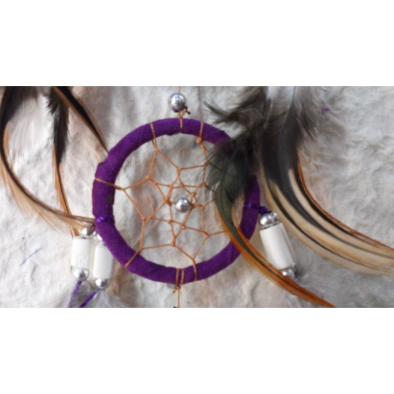 Dreamcatcher mauve umperren