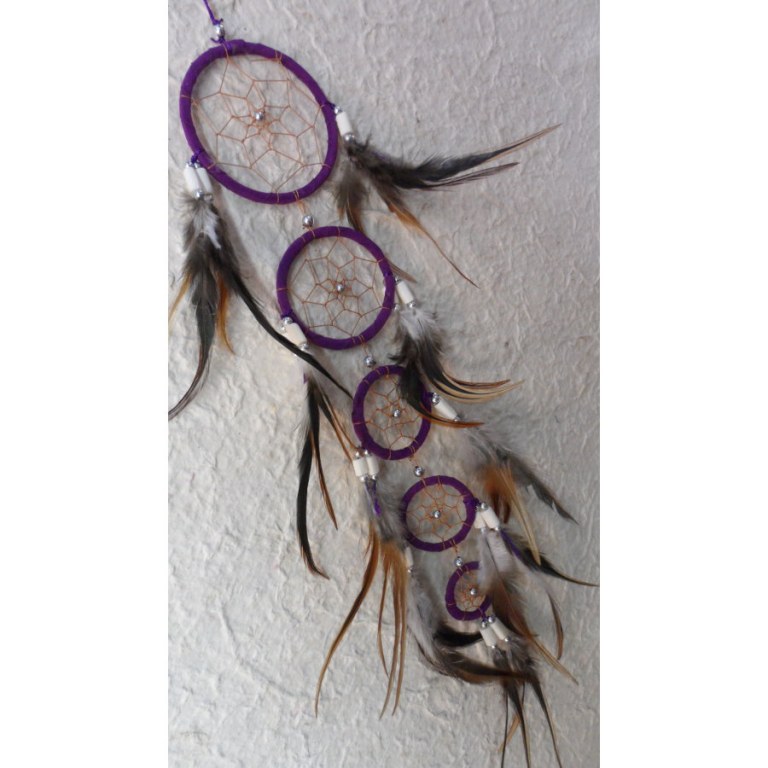 Dreamcatcher mauve umperren