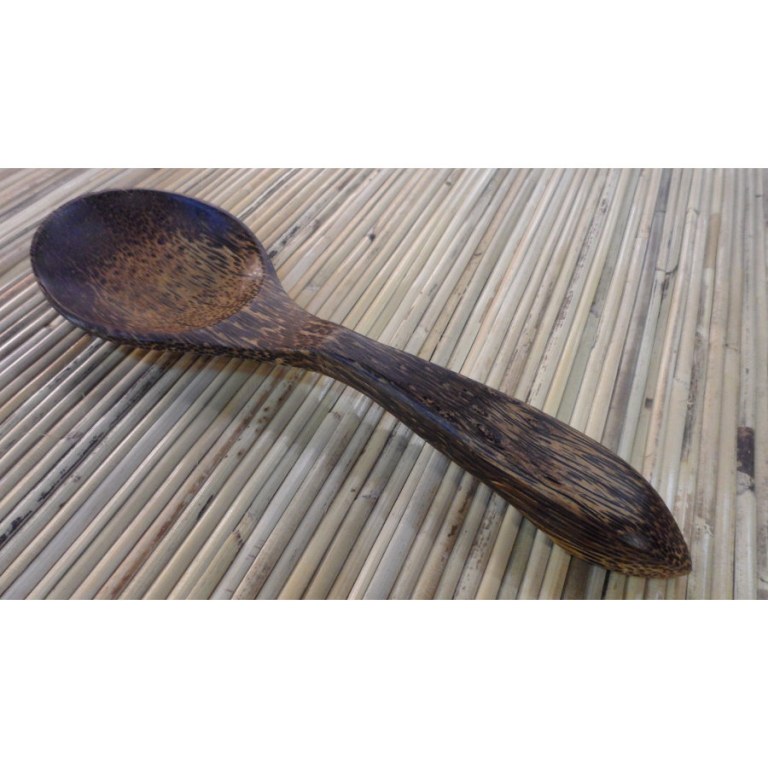 Spoon en bois de palmier