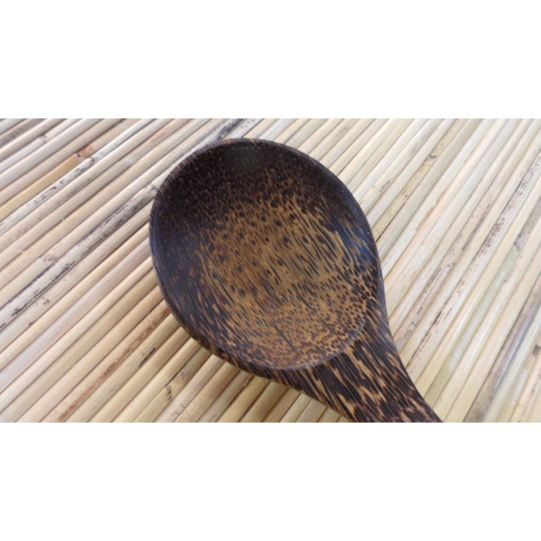 Spoon en bois de palmier