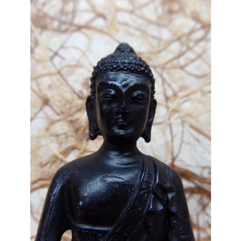 Bouddha Bhaishavaguru résine noire