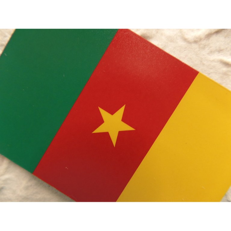 Aimant drapeau Cameroun