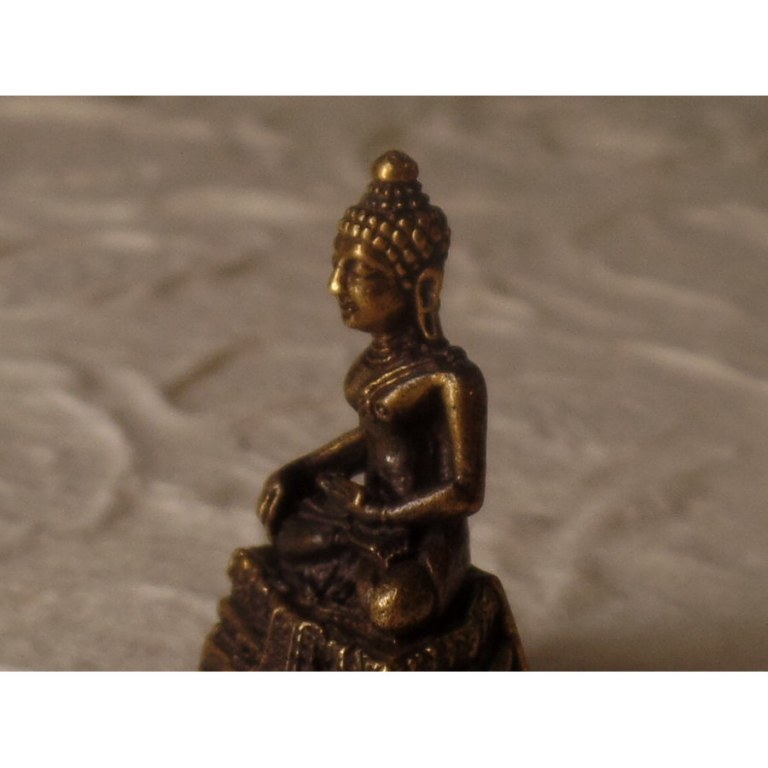 Bouddha bhumisparsa sur son trône