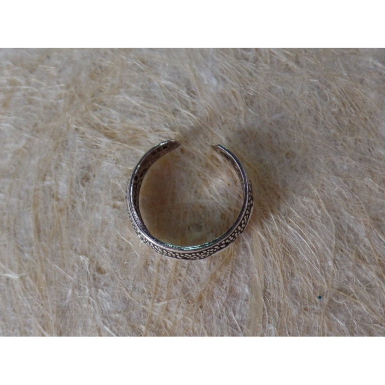 Bague orteil dauphins