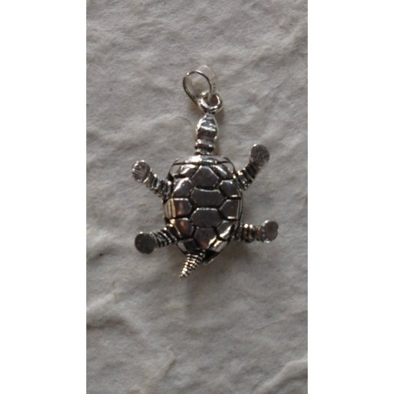 Tortue de mer photo cabochon verre Tibet Argent Chaîne Collier Pendentif #A4 Tortue de mer photo cabochon verre Tibet Argent Chaîne Collier Pendentif #A4