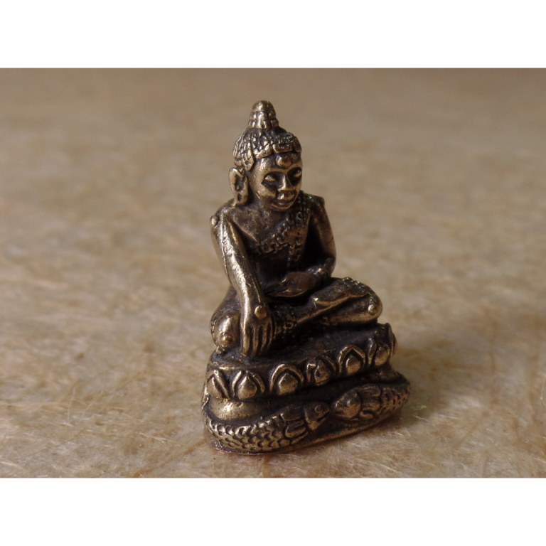 Bouddha prenant la terre à témoin gris