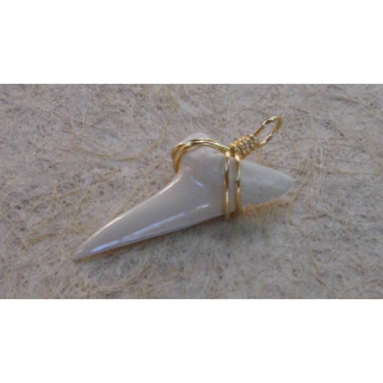 Pendentif dent de requin mako D