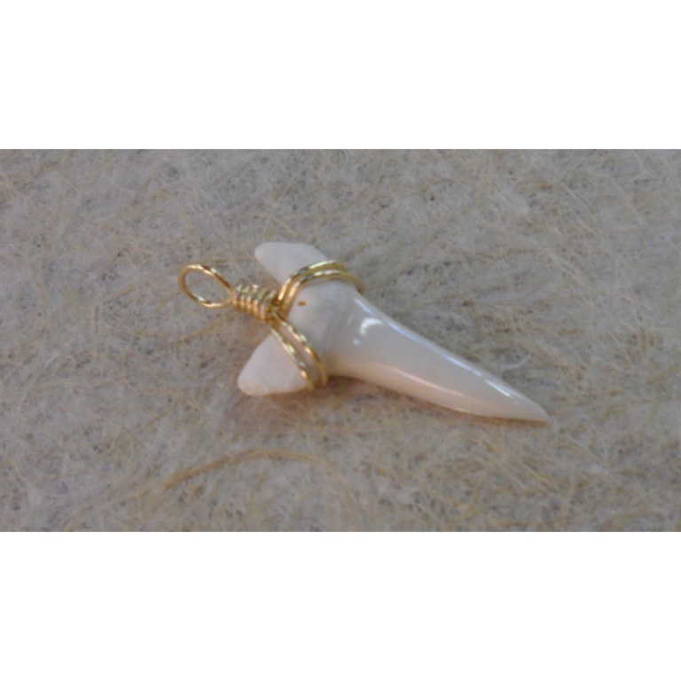 Pendentif dent de requin mako D