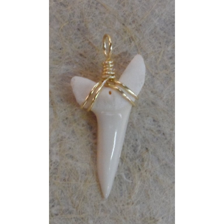 Pendentif dent de requin mako D