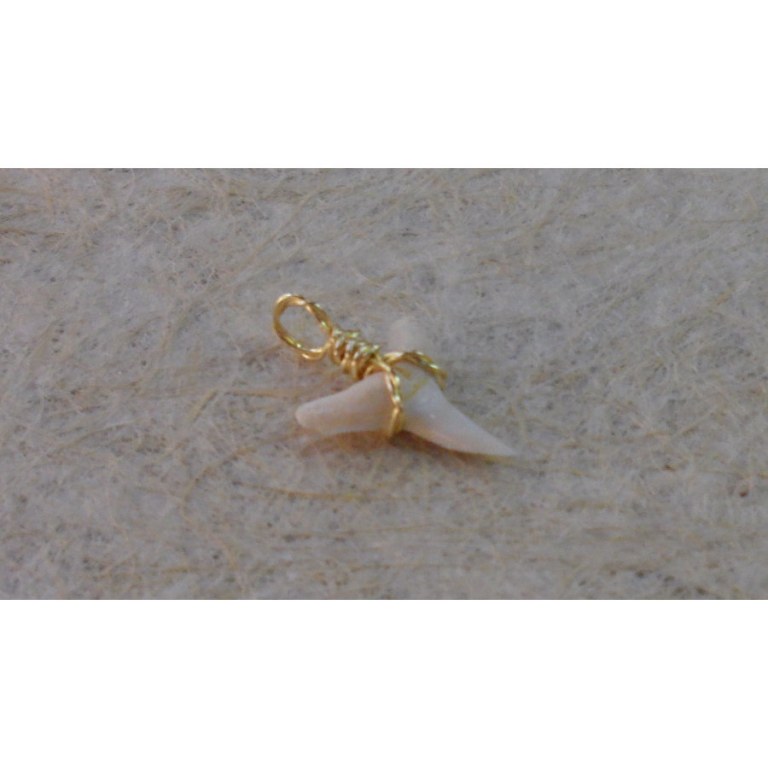 Pendentif petite dent de requin mako I