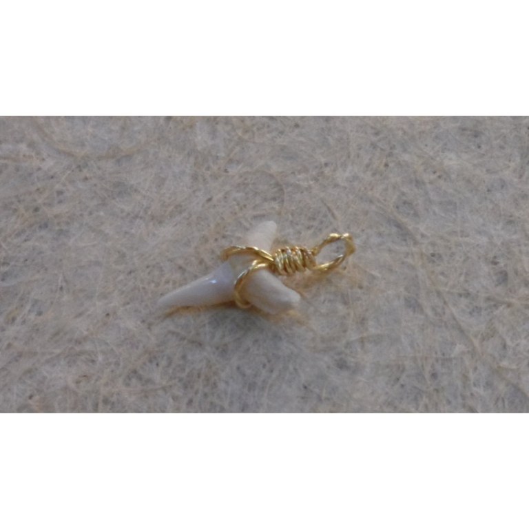 Pendentif petite dent de requin mako I