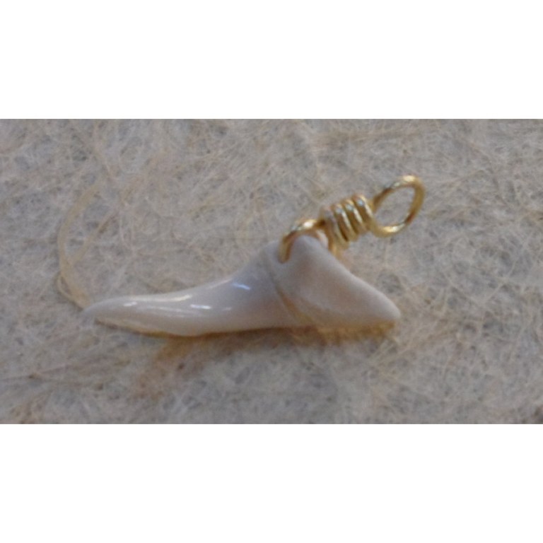 Pendentif dent de requin mako O