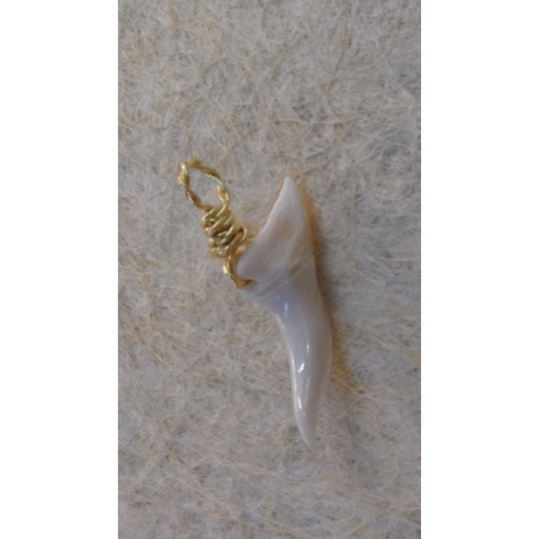 Pendentif dent de requin mako P