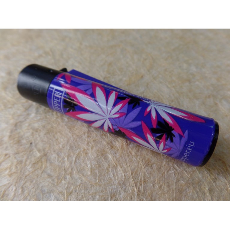 Briquet violet