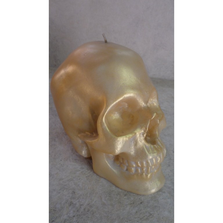 Bougie skull or