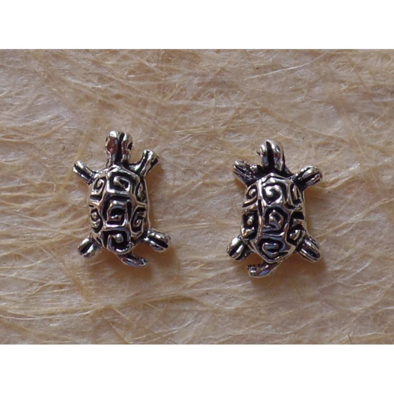 Clous d'oreilles tortue à carapace gravée