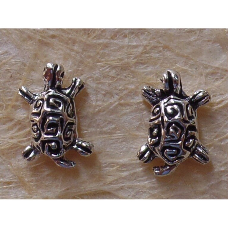 Clous d'oreilles tortue à carapace gravée