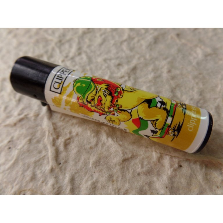 Briquet lion sportif