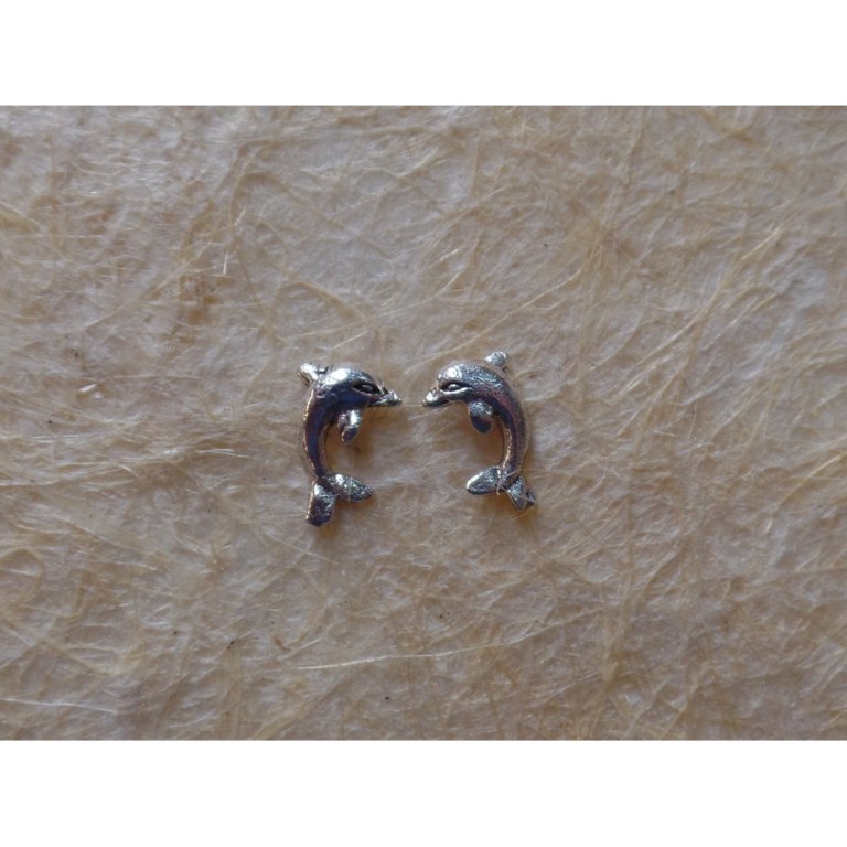 Clous d'oreilles dauphins