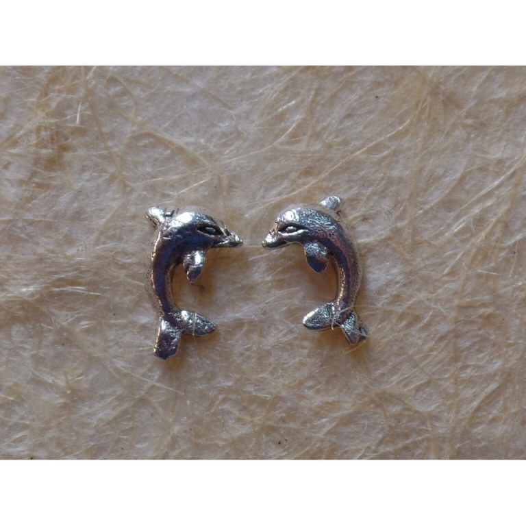 Clous d'oreilles dauphins