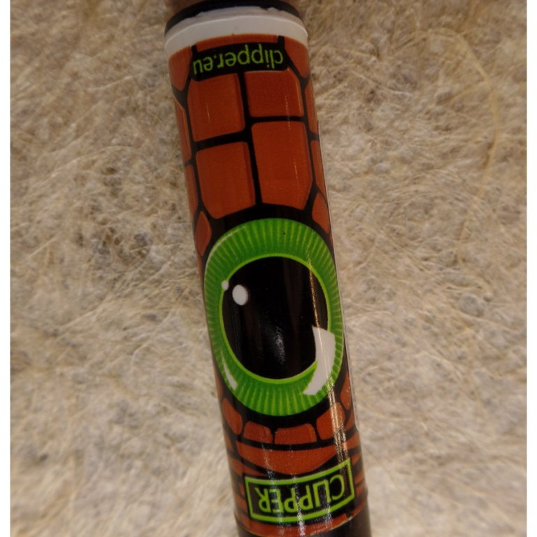 Briquet oeil de reptile vert