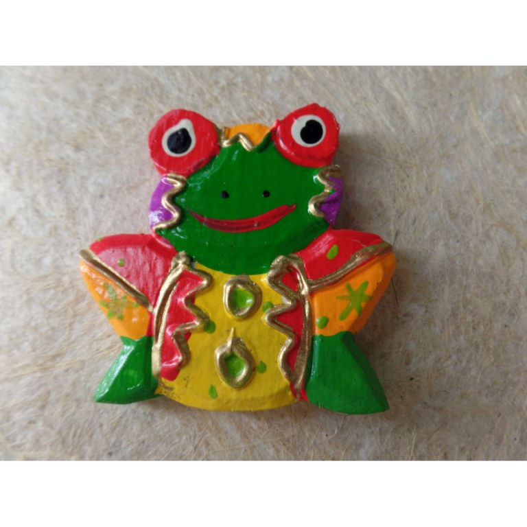 Magnet grenouille color