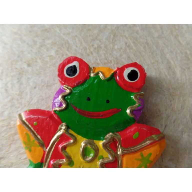 Magnet grenouille color