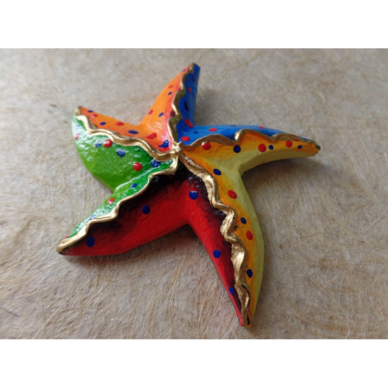 Magnet étoile de mer multicolore