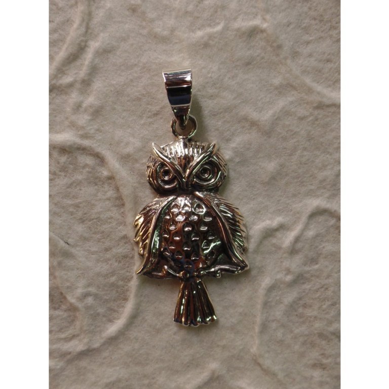 Pendentif maitre hibou