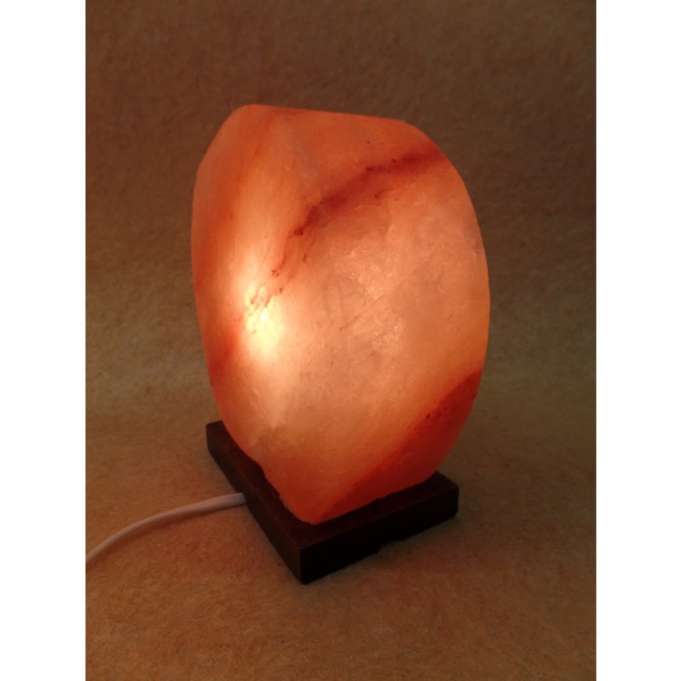 Lampe en sel rose arbre de vie