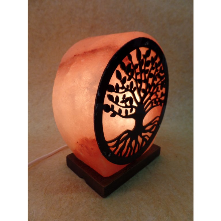 Lampe en sel rose arbre de vie