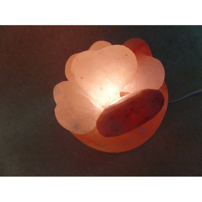 Lampe en sel rose love