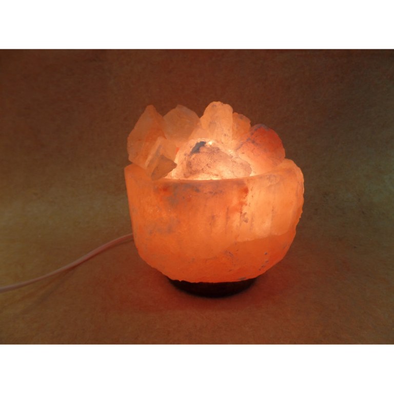 Lampe en sel rose bol de cristaux