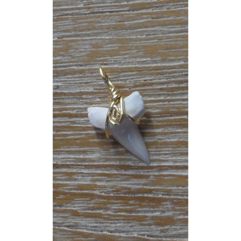 Pendentif 1 dent de requin mako